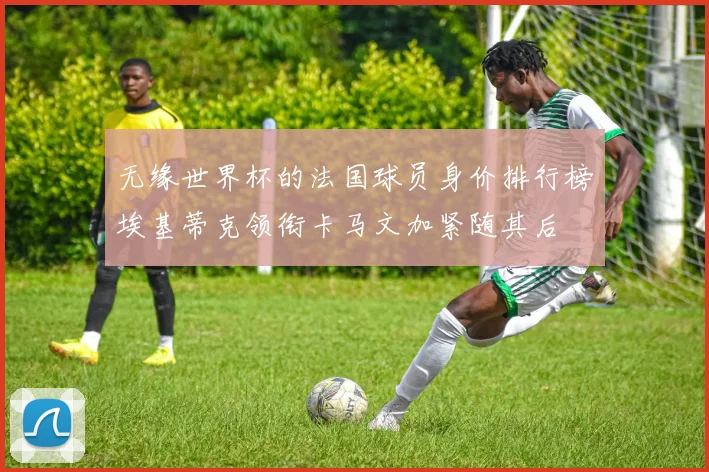 无缘世界杯的法国球员身价排行榜埃基蒂克领衔卡马文加紧随其后